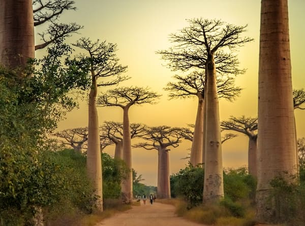 Madagaskar Reisen