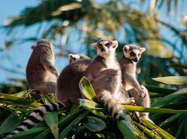 Madagaskar Reisen