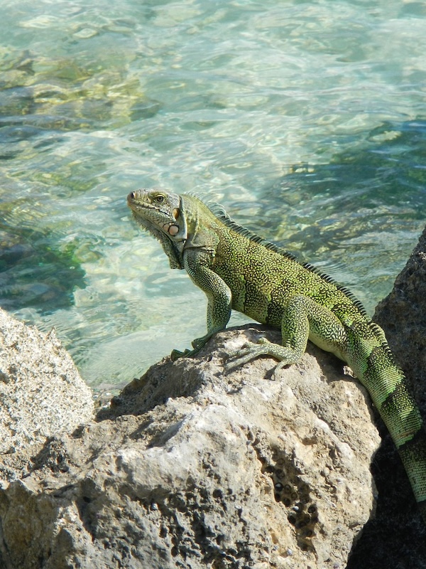 Französische Antillen Guadeloupe